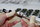 Orë dore Prim Sport Cycling - Limited Edition - W01P.13123.A