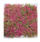 Bimë zbukuruese për akuarium Aqua Natura Sea Carpet, plastike, 25 x 25 cm, rozë