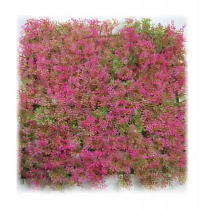 Bimë zbukuruese për akuarium Aqua Natura Sea Carpet, plastike, 25 x 25 cm, rozë