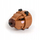 Lodër ndërtime Derform Snapets Capybara, 93 copa, me ngjyra nga të gjitha