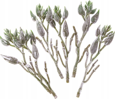 Degë dekorative DP Craft Olive, set 6 copë, artificiale, jeshile me të bardhë