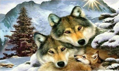 Сет дијамантско сликање Norimpex Wolves Family 1005263, 5D, мотив волци во зима, шарен