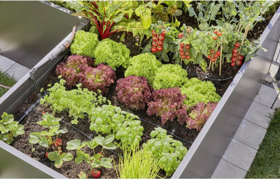 Set ujitjeje Gardena Start Set for Raised Beds, për 35 bimë, sistem me pika