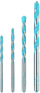 Set stërvitash Bosch Robust Line Cyl-9, 4 copë, shumëpërdorimëshe, gri
