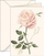Kartolinë urimi B6 Greeting Card Rose, me zarf, letër 200 g
