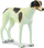 Figurë lodër Collecta Greyhound, miniaturë me përmasa reale, plastike, bardh e zi