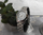 Orë dore Casio LTP-1259PD-7BEG, analoge, çelik inox, argjend