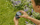 Sensor për lagështinë e tokës Gardena 1867-20, për ujitje automatike, me kabllo, gri