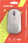 Maus Canyon, wireless, i hirt