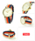Orë dore Timex Weekender TW2P91600