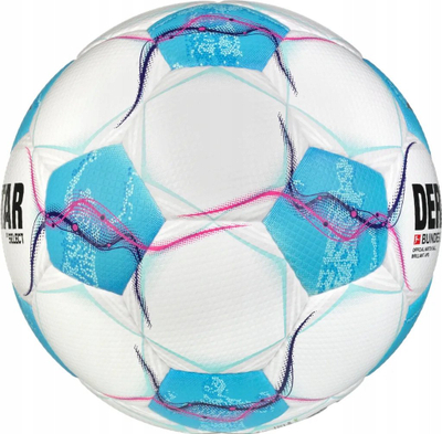 Top futbolli Derbystar Bundesliga Brillant APS v24, nr. 5, FIFA Quality Pro, shumëngjyrësh