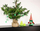 Figurinë zbukuruese Krishtlindjesh Saska Christmas Elf, 28 cm, prej poliesteri, e kuqe me jeshile