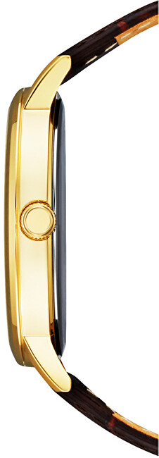 Orë dore Citizen Standard Quartz BI5072-01A