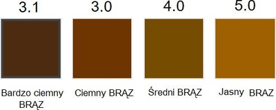 Shampo ngjyruese për flokë Delia Cosmetics Cameleo, tonifikuese për meshkuj, 15 ml