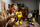 Figurë LEGO Icons Transformers Bumblebee, model koleksionues, për display, shumëngjyrëshe