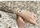 Orë dore Emily Westwood Ayleen EDG-4314