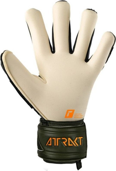 Doreza portjeri Reusch Attrakt Freegel Gold X, latex Gold X, grusht i fortë, jeshile e errët