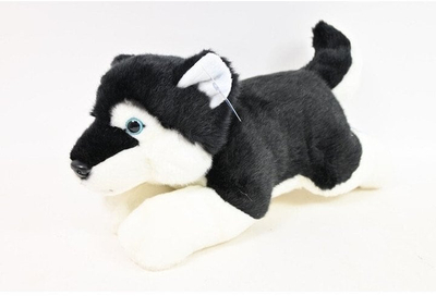 Qenush plushi Husky Dark, 34cm, gri
