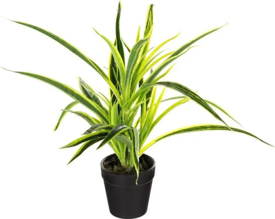Bimë dekorative artificiale Atmosphera JUNGLE, 30cm, vazo, e gjelbër