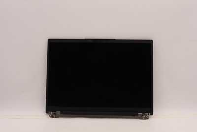 Ekran laptopi Lenovo ThinkPad X1, LCD RGB+IR, mat, i zi