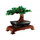 Set LEGO Bonsai Tree 10281, model dekorativ, për të rritur, shumëngjyrësh