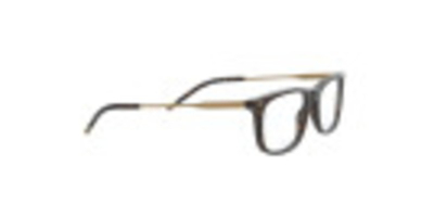 Syze Optike Ralph Lauren 2220 5003