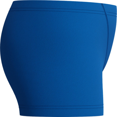 Rroba banje djemsh Speedo Printed V Cut Aquashort, EnduraBrite, me print palme, blu