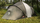 Tendë kampingu Coleman Ridgeline (053-L0000-205114-40), 4 persona