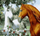 Set pikturimi me numra Norimpex Pair of Horses, kanavacë 40x50cm, bojëra akrilike, shumëngjyrësh