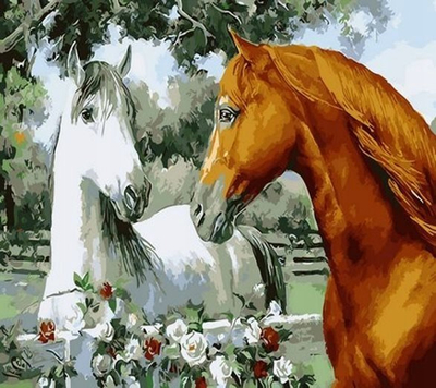 Set pikturimi me numra Norimpex Pair of Horses, kanavacë 40x50cm, bojëra akrilike, shumëngjyrësh