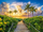 Puzzle Castorland Colorful Sunrise in Miami, 3000 copë, 92 x 68 cm, shumëngjyrësh