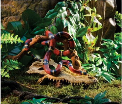 Dekorim për terrarium Hagen, i kaftë