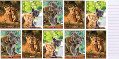 Тетратка A5 Double Line Animals, формат A5, пакет 10 парчиња, шарени