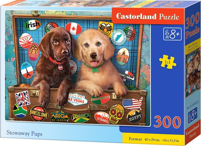 Puzzle Castorland Qenush, 300 elemente