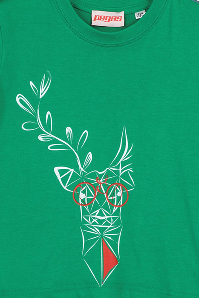 Bluzë fëmijësh DEER FAMILY Children T Shirt K, madhësia 8, e gjelbër
