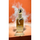Parfum unisex Paris Corner Ophidian Mango Bliss EDP, 100ml, aromë frutash, i artë