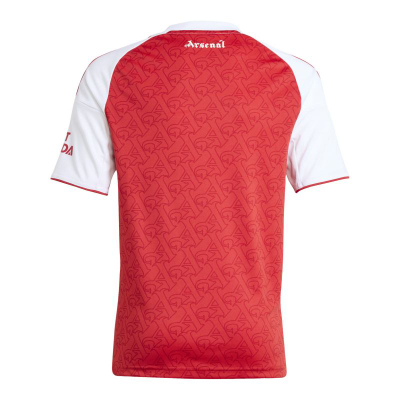 Блуза Adidas Arsenal London Jr JI9533, за деца, црвена