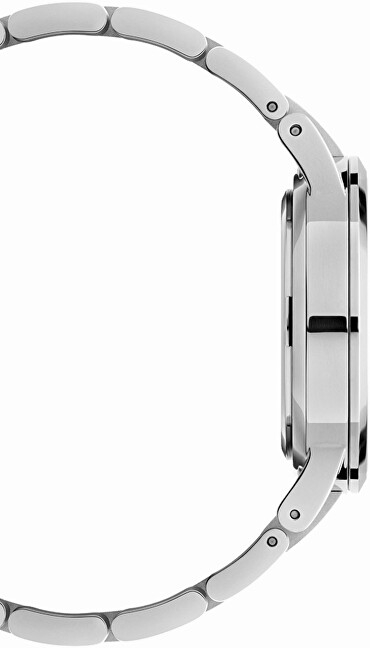 Orë dore Daniel Wellington Iconic Link 40, e argjendtë