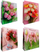 Qese dhurate universale Tulips L, letër 210g, me lule tulipan, shumëngjyrëshe