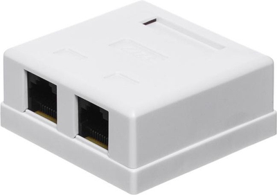 Prizë e plotë NetRack, 2xRJ45