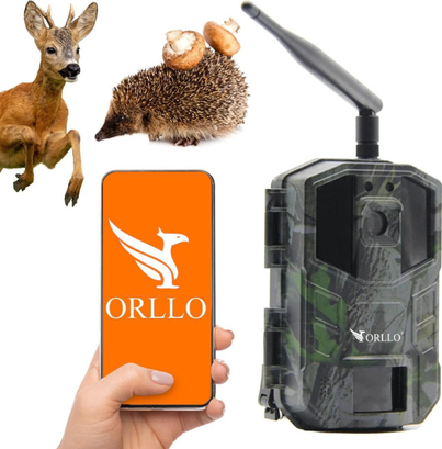 Product Picture