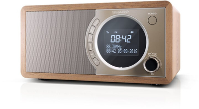 Radio Sharp DR-450BR, e kaftë