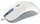 Maus ENDORFY GEM Onyx White, optik, i bardhë