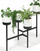 Stendë lulesh BLOOMIE STAND, 125cm, plastike, e bardhë