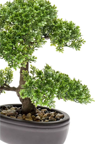 Bimë zbukuruese Emerald Fikus Mini Bonsai, artificiale, 32cm, jeshile