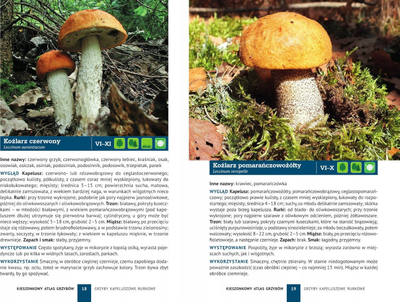 Libër xhepi SBM Pocket Atlas of Mushrooms, 180 lloje, polonisht