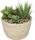 Arranzhim artificial Atmosphera Hacienda, diametër 17 cm, vazo beige