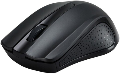 Maus Acer, i zi