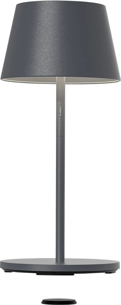 Lampë tavoline LED Garcon, RGBW, 2x5W 1000lm IP65, antracit