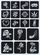 Set tatuazhesh me glitter, 120 shabllone, 24 ngjyra, i zi